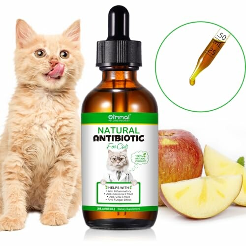 Natural Cat Antibiotics